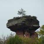 201410 Teufelstisch bei Hinterweidenthal