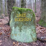 Ri014 Drei Buchen