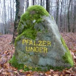 Ri019 Pfaelzer Unger