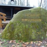 Ri077 Kirschbaum