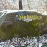 Ri089 Immensack