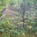 Ri200 000ruine Gruenbacher-Hof