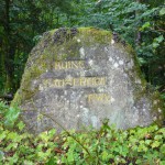 Ri201 Ruine Faunerhof