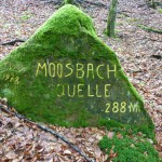 Ri205 Moosbach Quelle PWV 1978