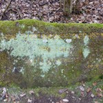 Ri218 Ruine Karolingisches Gehoeft