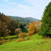 Herbst im Pfälzerwald bei Dimbach